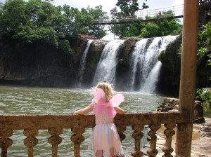 Paronella Park Waterfall
